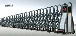 曲美2号